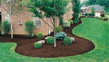 DCHLandSCaping-Landscaping image