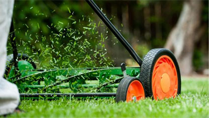 DCHLandSCaping-LawnCare image